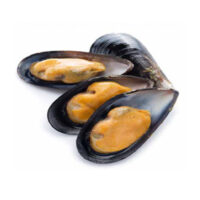 Half Shell Mussels
