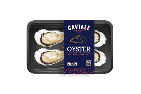 Fresh oysters