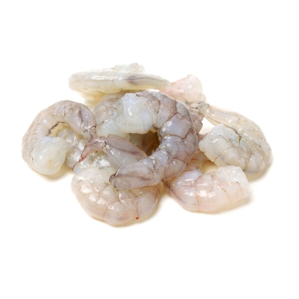 Extra large shrimp