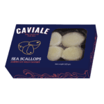 سي سكالوب, سي سقالوب, محار