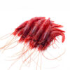 Rosso shrimp