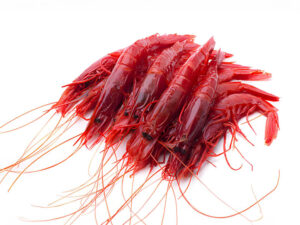 Rosso shrimp