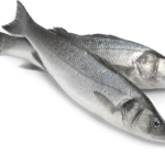 Freshly Frozen Sea Bass Fish