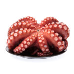 أخطبوط كامل منظف