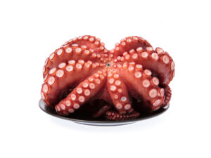 Whole Cleaned Octopus