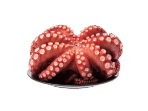 اخطبوط كامل منظف