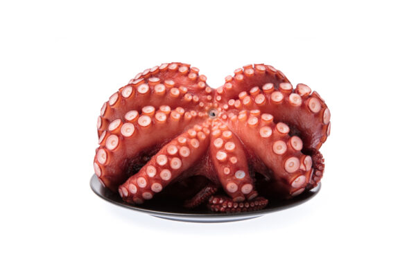 Whole Cleaned Octopus