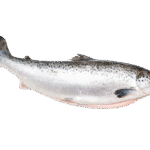 Caviale Whole Salmon Fish (Frozen) — Maxim Food