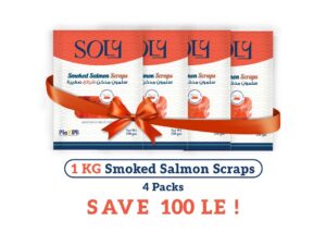 Salmon Scraps