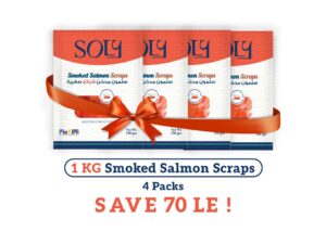 Smoked Salmon Scraps