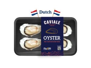 Fresh oysters