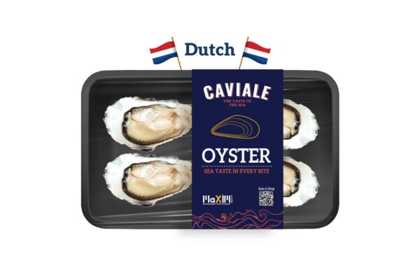 Fresh oysters