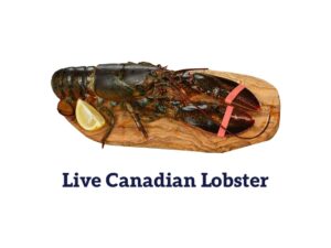 Live lobster