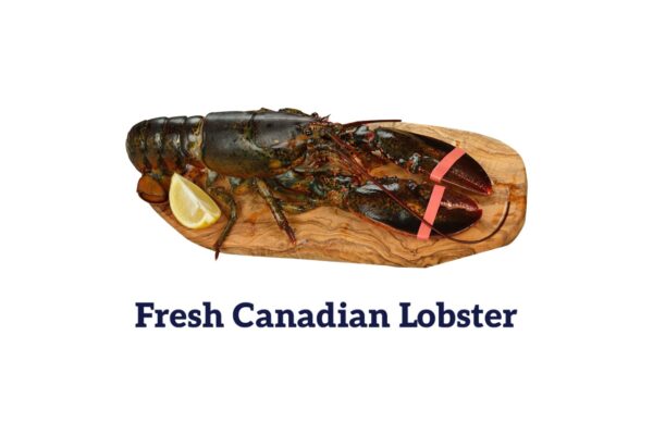 Fresh lobster