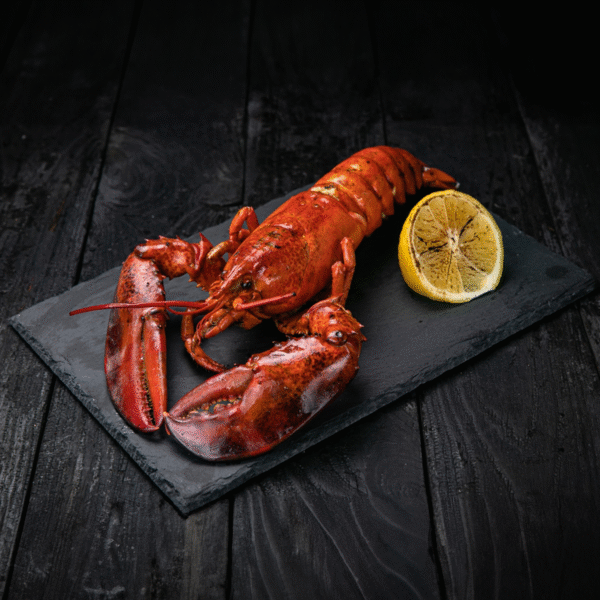 Fresh Canadian Lobster