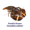 Freshly Frozen Lobster