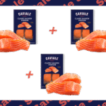 salmon