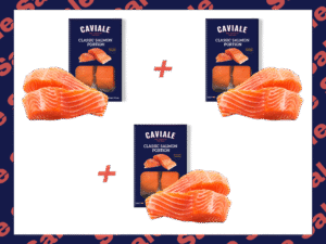 salmon