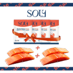 Bundle 2: Soly Smoked Salmon Prime Trimmings 1KG + Salmon Portion Premium Cut (400gm x 2) — Maxim Food