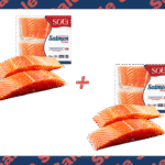 salmon