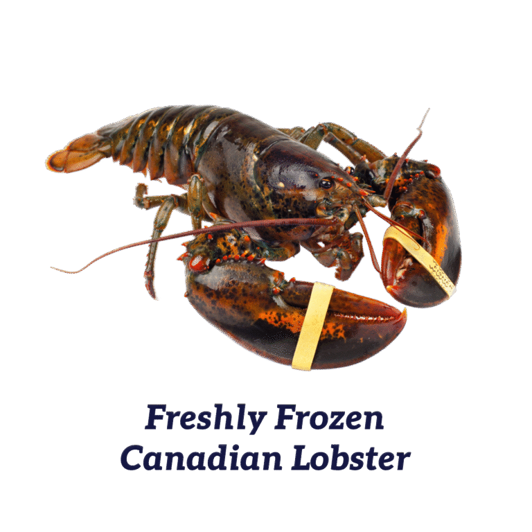 Caviale Canadian FRESHLY FROZEN Lobster 900-1100gm — Maxim Food