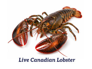 Caviale Whole Canadian Live Lobster
